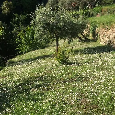 Holiday home Seaside Between Portofino And Cinque Terre Zoagli